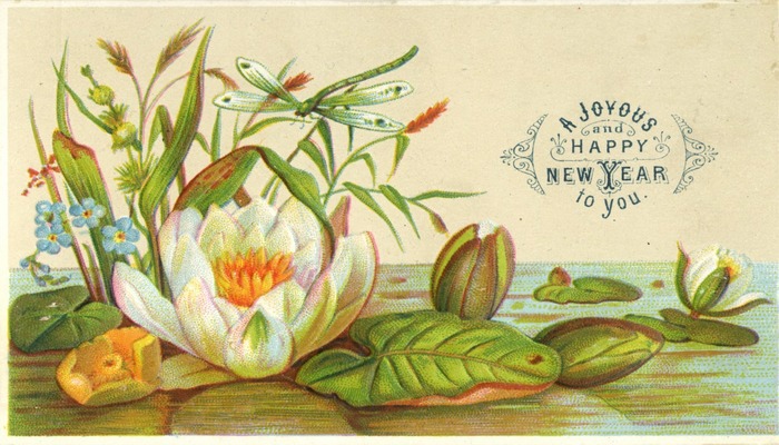 Christmas card with an illustration of plants