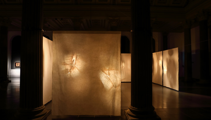 A dimly lit gallery with tall columns and translucent hanging panels of paper softly illuminated from behind, showing faint, glowing organic shapes.