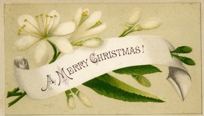 A Christmas card with a message scrolled over a piece of mistletoe