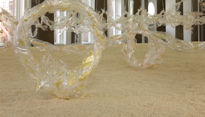 A close-up view of a sculptural installation in a large, ornate interior hall. In the foreground, translucent cellophane is twisted and looped into irregular, flowing shapes that resemble soft, ribbon-like forms. The plastic has a glossy surface with subtle yellowish tones in places, catching the light and creating highlights and reflections. The sculpture rests on a wide expanse of fine, pale sawdust.