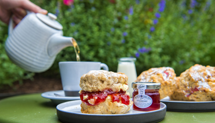 Image of Scone sitting on a plate with a small pot of red jam. In the background it is a garden and you can see a hand pouring tea from a white pot into a cup