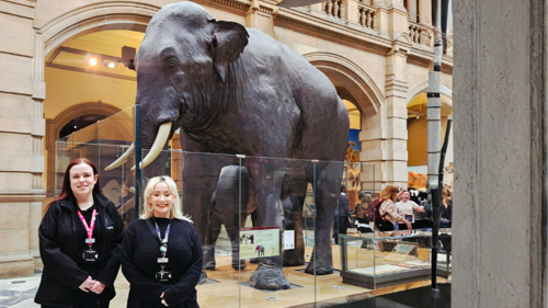 two people standing in front of an elephant in a museum gallery
