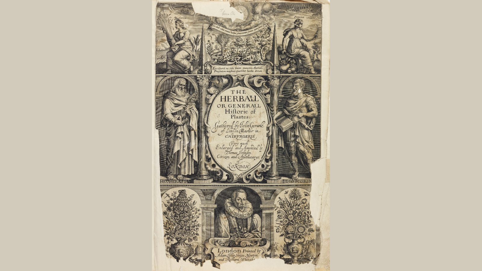 Frontispiece of a book: Gerarde's Herbal from, 1683