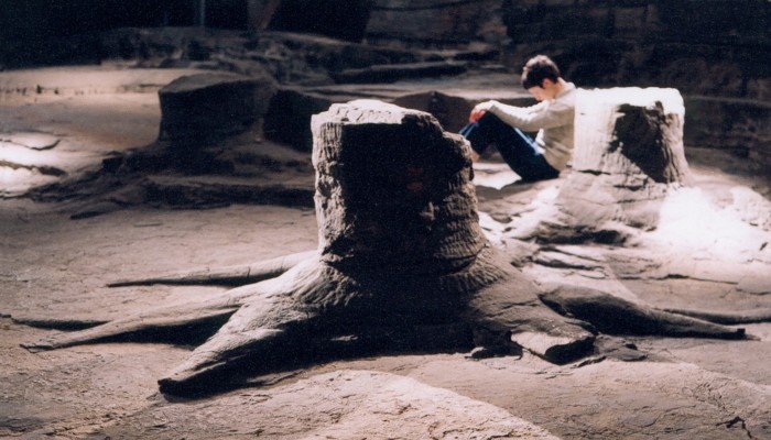 A colour photograph of a person with dark short hair sitting on the floor with her head bowed and her hands resting on her knees which she has pulled up towards her body. She is sat on an earthy floor with several fossilised tree trunk around her. 