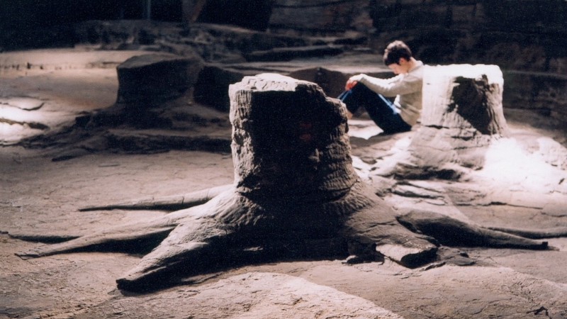 A colour photograph of a person with dark short hair sitting on the floor with her head bowed and her hands resting on her knees which she has pulled up towards her body. She is sat on an earthy floor with several fossilised tree trunk around her. 