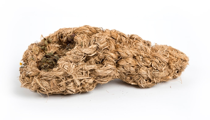 Artwork of shoe made from grass