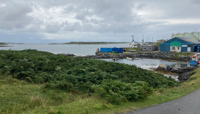 A small harbour in South Uist. There are boats shown and blue harbour buildings. The sea beyond the harbour is shown and there is greenery in the foreground.