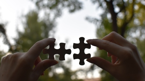 Close up of a pair of hands holding up two plain jigsaw pieces. They are outside and in an area with trees
