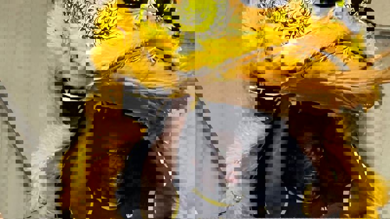 a Doing A Lion Dance As Part Of The Knightswood Gala Day