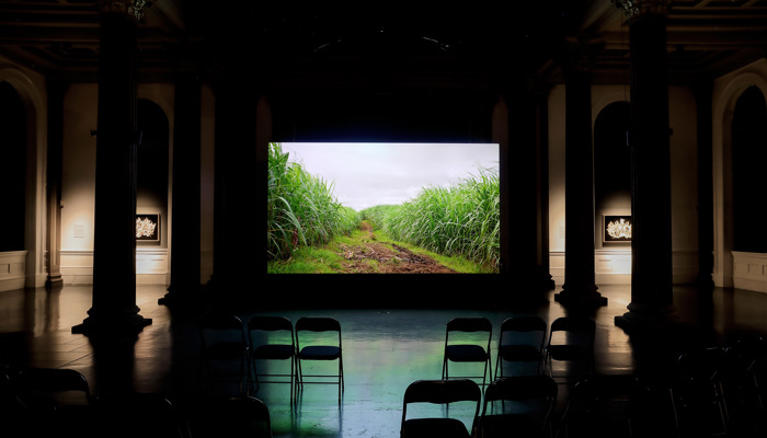 A dark, grand gallery interior with rows of empty chairs facing a large screen displaying a green field path between tall plants, glowing against the surrounding shadows