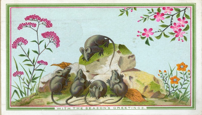 A Christmas card. Four mice and looking up at one mouse, standing on a rock.
